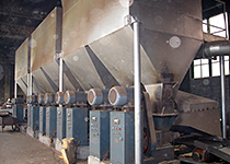 Biomass Briquetting Projects