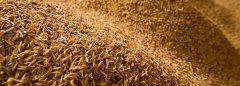 Making Briquettes from Sawdust