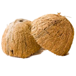 Coconut