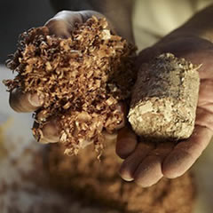 Sawdust Briquettes