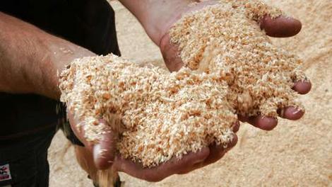 sawdust for briquetting
